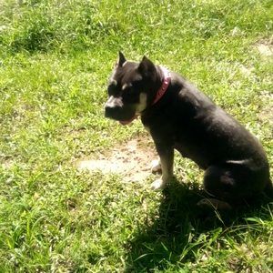 Meet your Posher, Josh